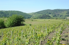 Gimelande, au cœur du Beaujolais